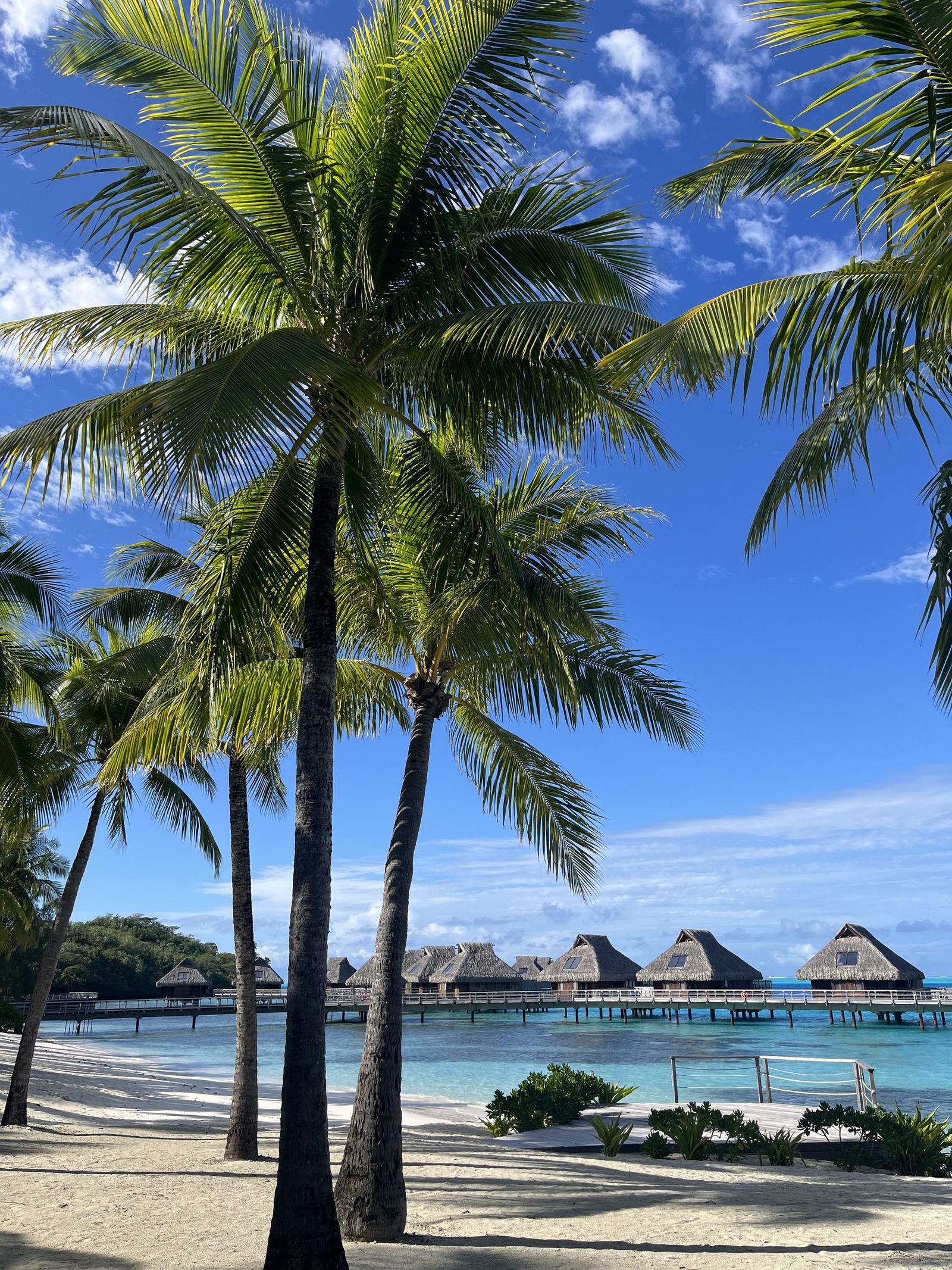 Bora Bora & Tahiti