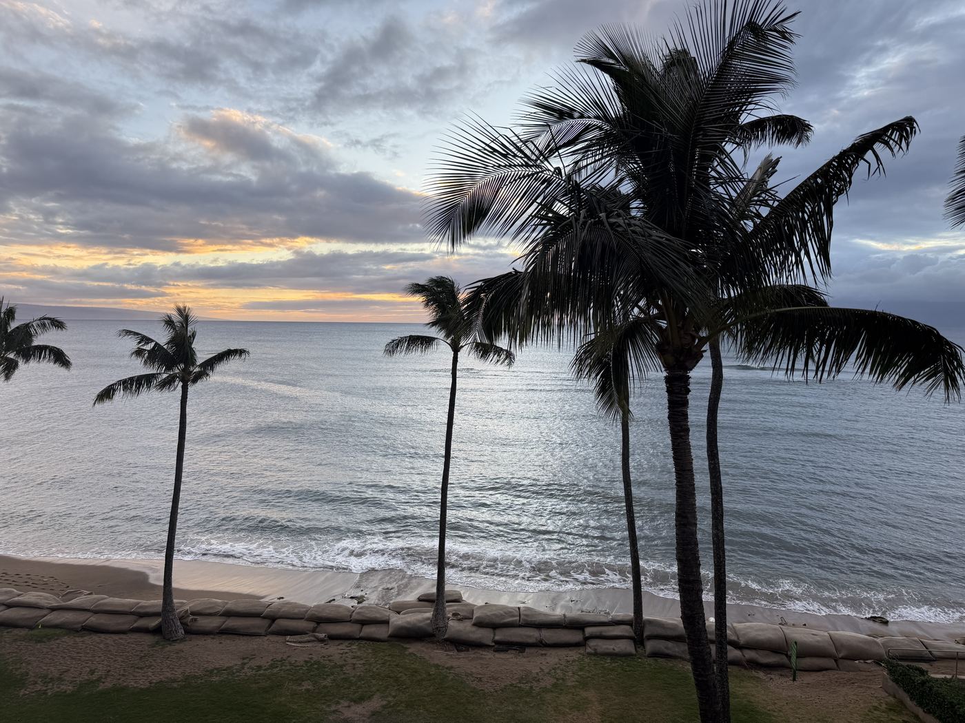 Hawaii — when cash wins.