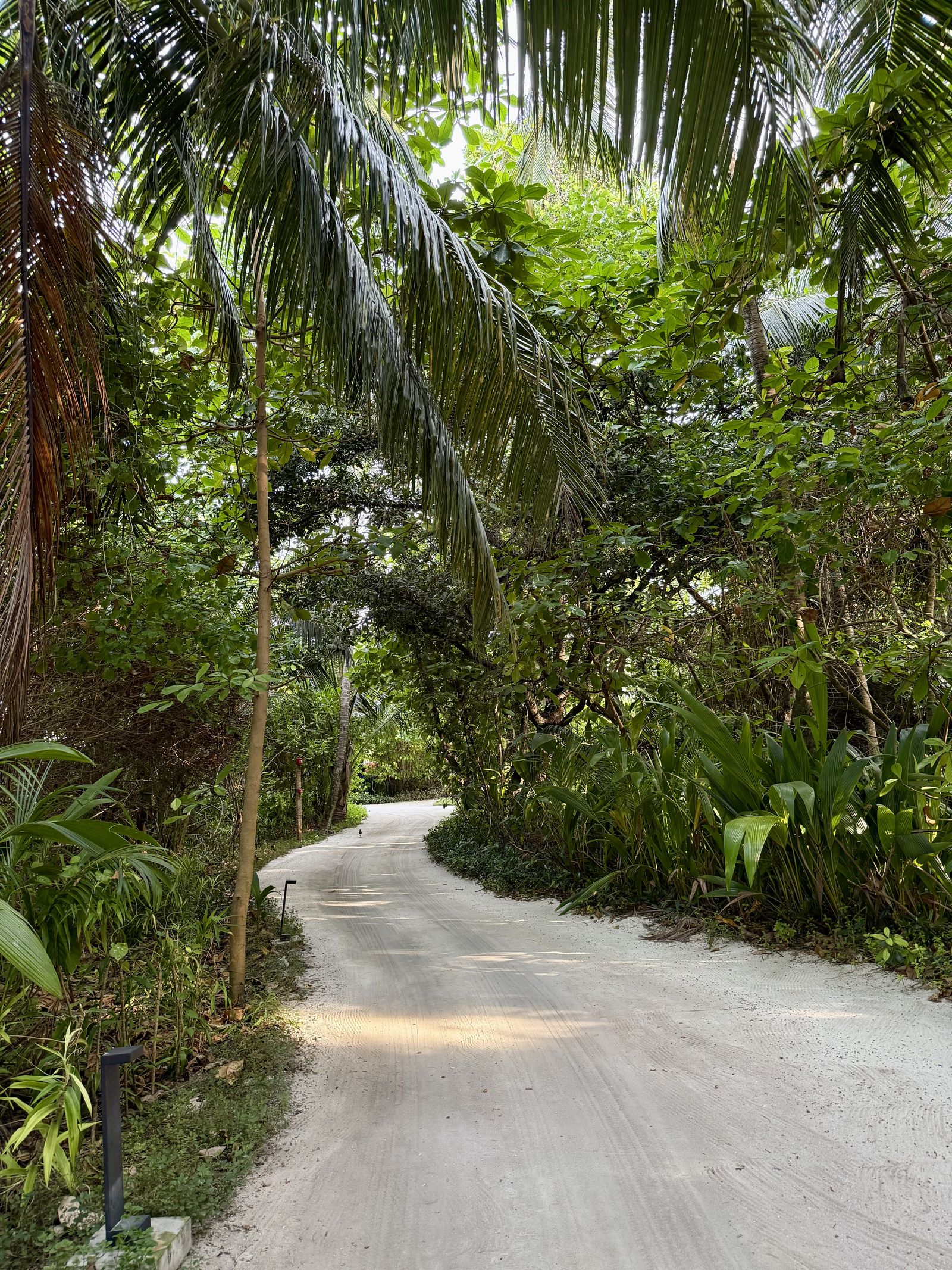 Maldives resort grounds